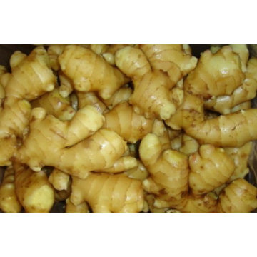 250 g de gingembre frais